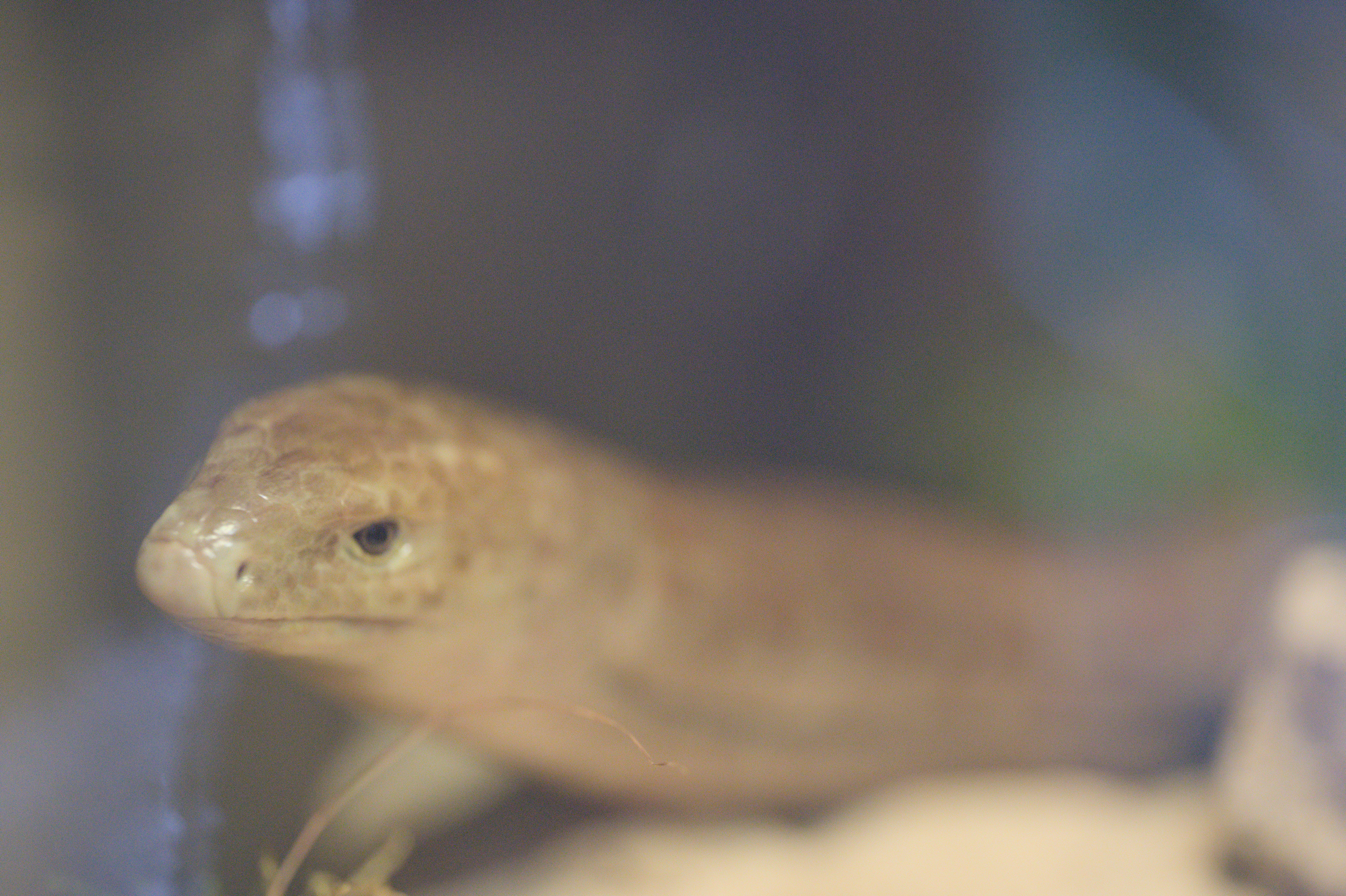 2025/10/12 - zoo/DSC_0183.jpg